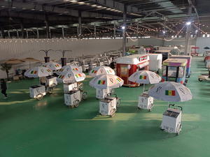 Carrito de Venta Ambulante Bicicleta Solar para Helados con Batería Triciclo Carrito de Helados Carrito Bicicleta para Jugos y Bebidas - Product Image 2