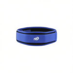 Soporte Lumbar Azul XL para Entrenamiento de Levantamiento de Pesas, Equipo y Accesorios - Product Image 1