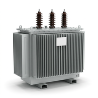 Yağlı Trafo 100kva 200kva 500kva 10kv 35kv Akıllı Elektrik Ekipmanları 50/60HZ üç fazlı