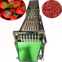 Piccolo Secco Data Classificatore di Classificazione Macchina di Frutta Frutto della Passione Formato Pista di Smistamento Macchina