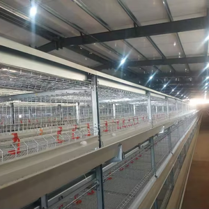 Tùy chỉnh H loại gà lồng h loại gia cầm lồng và pin lồng cho gia cầm khác nhau giống và trang trại kích cỡ - Product Image 1
