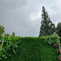 Tema Daun Hijau 3D Musim Semi Kustom untuk Latar Belakang Foto Pernikahan Pesta Ulang Tahun Latar Belakang Fotografi Dekorasi Kebun Binatang Alat Peraga Pemotretan