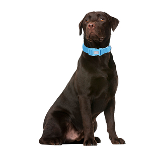 Adjustable Nylon Airmesh <strong>Dog</strong> <strong>Collar</strong> with 11 Colors Quick Release <strong>Colorful</strong> Buckle Decorative Ribbons for Small to Large Pets - Product Image 5