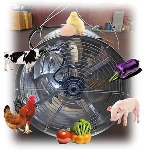 Seven Leaf Stainless Steel Internal Circulation Cooling Axial Fan for Greenhouse Planting Flowers and Vegetables Agriculture
