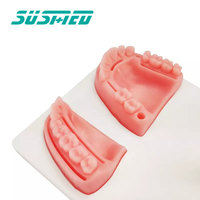 Modèle d'entraînement buccal de Science médicale chirurgicale, coussin d'entraînement de Suture, simulateur de dents