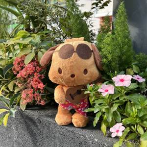 US 3-5 Tage Lieferung 8 Zoll Hawaiian gegerbter Pachacco Plüsch Soft Hug gable Kitty Cat Plüsch tier Cute Hug gable Plüsch - Product Image 4