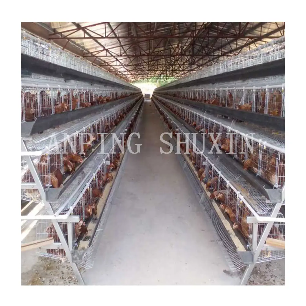 Best Selling Products 96 / 120 / 128 / 160 Birds Layer Poultry Battery Chicken Cages For Sale
