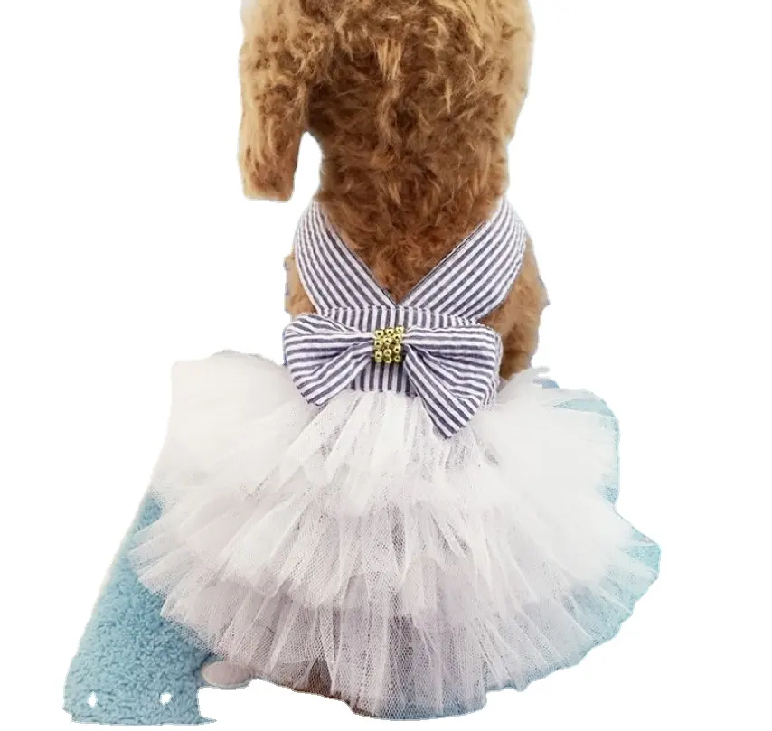 Robe d'été en dentelle pour chien, vêtements pour animaux de compagnie, robe de mariage d'anniversaire pour petit chien, Costume pour chiot et chat, vêtements pour animaux de compagnie, vente en gros