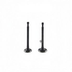 Wholesale RGX2400 Intake and Exhaust Valves 167F <b>Engine</b> <b>Mounting</b> for Gasoline Generator Parts-EY20 New 1 Year Warranty - Product Image 3