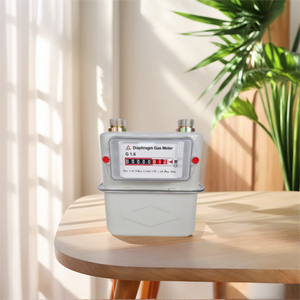 Compteur de gaz à membrane mécanique anti-explosion ZHONGYI G2.5 avec boîtier en acier pour usage domestique - Product Image 1