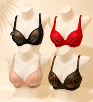Sujetador Push-Up de Encaje para Mujer con Detalles de Pedrería, Lencería con Aros, Sujetador de Malla Sexy, OEM, Personalizado, Venta al Por Mayor