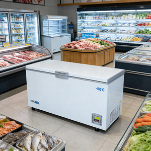 <span class=keywords><strong>Congélateur</strong></span> <span class=keywords><strong>coffre</strong></span> commercial blanc personnalisé à refroidissement direct pour le stockage d'aliments surgelés avec roues universelles - Product Image 3