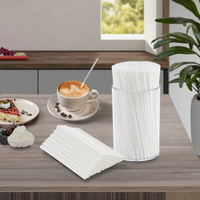 Ensemble de bâtonnets mélangeurs jetables en plastique blanc avec support, pailles à cocktail pour bar, whisky et fournitures de fête à domicile