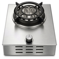 Table de cuisson électrique portable à plasma, brûleur unique, surface en verre, 3000W, classe d'efficacité énergétique, garantie 1 an, pour l'extérieur