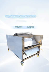 Shanlihong เครื่องหั่นฮอว์ธอร์นอัตโนมัติเต็มรูปแบบพร้อมการกำจัดแกนส่วนประกอบมอเตอร์สภาพใหม่ - Product Image 2