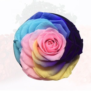 Rosas Preservadas de Grado A de YUNNAN al por Mayor, Flor <span class=keywords><strong>Preservada</strong></span> de Larga Duración de 9-10 cm, Cabeza de <span class=keywords><strong>Rosa</strong></span> Arcoíris <span class=keywords><strong>Preservada</strong></span> de Gran Tamaño para Arreglos Florales - Product Image 3