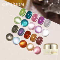 OEM 15 Couleurs 4d Caméléon Cat Eye Gel Magnétique pour Ongles Cat Eye Gel Set pour Débutants Disco Gel Polish Magnetics
