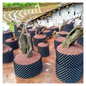 Fabrik Direkt verkauf billig Baum wurzel topf Garten Hydro ponik Kunststoff Luft schnitt Topf für Pflanzen