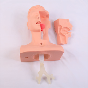 Simulator latihan hisap legm, Model latihan penghisap hidung dan Oral - Product Image 4