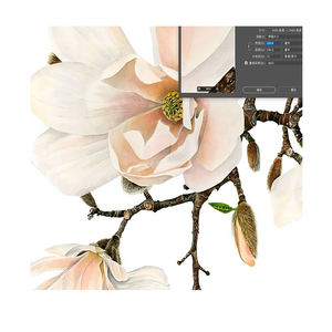 Immagine originale di alta qualità per la stampa a macchina e inviare tramite westtransfer o e-mail immagini ad alta definizione - Product Image 1