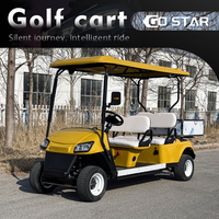Carrito de Golf de 4 Pasajeros Equipado con Batería de Plomo-Ácido, Plataforma de Carga Grande, Vehículo de Doble Uso para Pasajeros y Carga, Ideal para Villas y Parques