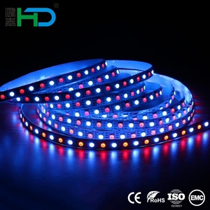 Tira de LED <span class=keywords><strong>WS2812B</strong></span> direccionable de <span class=keywords><strong>5V</strong></span>, 5050 SMD, LED RGB de alto lumen, tira de LED RGBIC de píxeles <span class=keywords><strong>WS2812B</strong></span> de <span class=keywords><strong>5V</strong></span> - Product Image 1