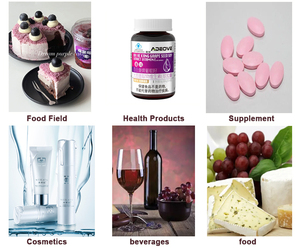 Oem Druivenzaad <span class=keywords><strong>Extract</strong></span> 95% Kruidensupplementen Antioxidant Vitamine D3 Druivenzaad <span class=keywords><strong>Extract</strong></span> Capsules - Product Image 3
