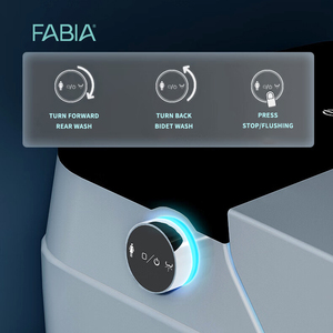FABIA WC Monoblocco Intelligente in Ceramica con Bidet Elettrico Integrato, Certificato CE, Montaggio a Pavimento, Scarico a Gravità, per Ingrosso - Product Image 5