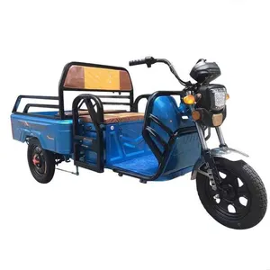 Ferme Locked Plage Tricycles Climatises 1950 Cadrent Shining Speedometer Foldable 20 Electric Cargo Tricycle