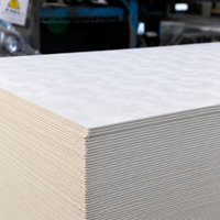 Panel de Techo de PVC de Venta Caliente de Fábrica China, Tamaño Personalizado, Color Popular, Techo de PVC para Decoración Interior, Impermeable e Ignífugo