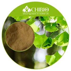 Fábrica Ginkgo Biloba Melhor marca China extraído de folhas de ginkgo biloba