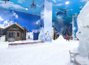 Trò chơi công viên tuyết tùy chỉnh và thiết kế chức năng giải pháp giải trí trong nhà và ngoài trời - Product Image 2