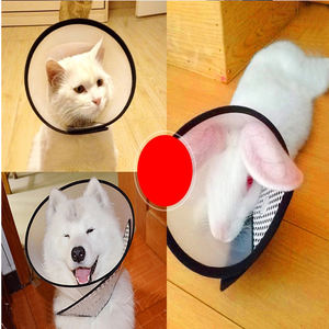 Köpek kurtarma yaka Pet PU Bite yaka koruyucu Anti Lick Scratch köpek tasması Post Op şeffaf bakım kedi koni - Product Image 5
