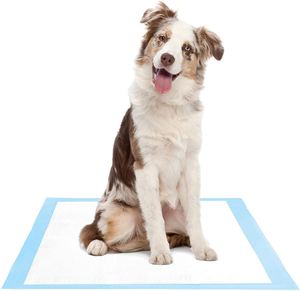 Customized Odor Bamboo Charcoal Dog and Puppy Training Toilet Wee <b>Pee</b> <b>Pads</b> - Product Image 2