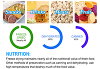 Industriële commerciële lyofilisator 50kg 100kg vacuümvriesdroogmachine voor voedsel, fruit, groenten, aardbeien