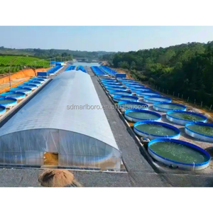 บ่อเลี้ยงปลาพีวีซีแบบพกพาสำหรับเลี้ยงปลาในร่ม ถังเพาะพันธุ์ปลาแบบชุบสังกะสี <span class=keywords><strong>ราคา</strong></span>ดี - Product Image 1