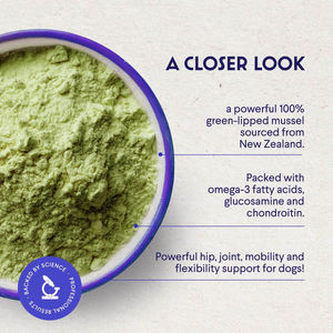Suplemento de Polvo de Mejillón de Labio Verde de Marca Privada para <span class=keywords><strong>Perros</strong></span> - Movilidad de Articulaciones de Cadera, Flexibilidad Muscular y de Tendones de Mejillón Puro - Product Image 2