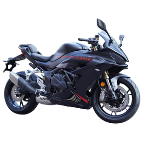 Convient pour QJMOTOR SRK600 <span class=keywords><strong>RS</strong></span>, tête de ressort, tube en acier au carbone givré, anti-chute, pare-chocs modifié épaissi, protection du moteur - Product Image 3