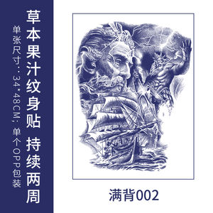 อุปกรณ์สักลายพร้อมส่งจากโรงงานสติกเกอร์รอยสักกันน้ำสติกเกอร์สักลายเฮนน่าแบบชั่วคราว - Product Image 3