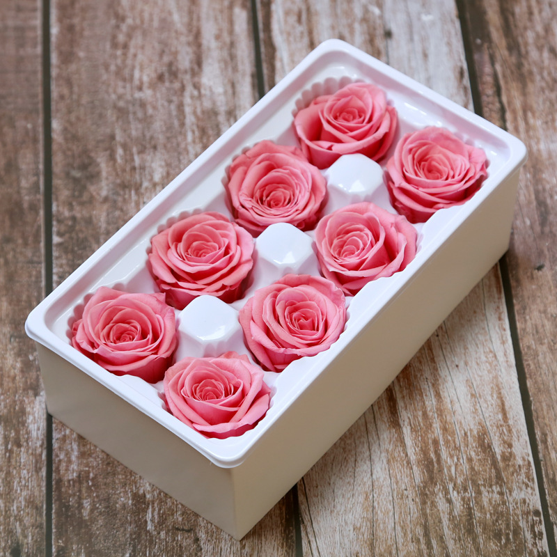 Rose ZL-YSH-08-3