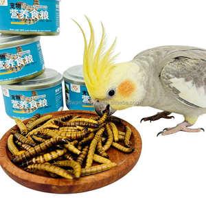 หนอนข้าวบาร์เลย์ถนอมสภาพได้นาน |   อาหารแมลงเพื่อสุขภาพสำหรับสัตว์เลื้อยคลานและ<span class=keywords><strong>ปลา</strong></span> - Product Image 4