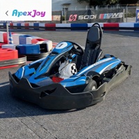 RACE GT Elite - Go Kart de Gasolina de 160cc y 5.5hp para Adolescentes, Go Kart Juvenil para Diversión en Pistas al Aire Libre