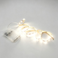 Bande LED Flexible USB 5V 2835 SMD 60 LED/m avec Boîtier de Batterie PCB, Largeur 8mm, Longueurs Personnalisables 1m, 2m, 3m, 5m – Vente en Gros