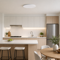 Plafonnier LED en ABS à surface blanche mate pour chambre d'hôtel, éclairage intérieur de chambre à coucher, solution de vente en gros