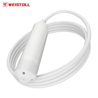 Weistoll PTFE-Ausgekleideter Hydrostatischer Flüssigkeitsstand-Transmitter mit Fernbedienung, 0,5% Genauigkeit, 1 Jahr Garantie, OEM/ODM Anpassbar
