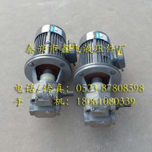 Conjunto de Motor y Bomba Hidráulica de Engranajes Cicloides Verticales y Horizontales BB-B16YJZ B20YJZ B25YJZ B32YJZ de 1.5KW - Product Image 2