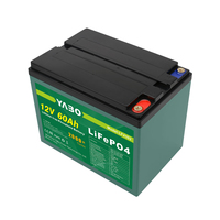 Batterie au lithium LiFePO4 haute puissance à décharge profonde 12V 60Ah pour les systèmes de stockage d'énergie solaire
