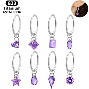1PCS G23 Titan legierung Ohrringe Nahtloser Ring Lila Zirkon Ohr stecker Fashion Party Hochzeit Anhänger Piercing Schmuck - Product Image 1