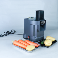 HELAXEN Multifunctionele Groente Snijder, Hakker, Rasp en Snijmachine voor Fruit & Groenten, Elektrisch 220/110V, 1 Jaar Garantie