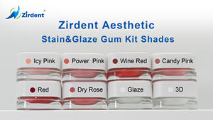 ชุดเคลือบสีชมพูสำหรับเหงือก Zirdent Gingival Pink Stain Glaze Kit 8 เฉดสี วัสดุสิ้นเปลืองทางทันตกรรม เซรามิกสำหรับงานทันตกรรม ผลิตภัณฑ์ทันตกรรมเพื่อความสวยงามสำหรับเหงือก - Product Image 2